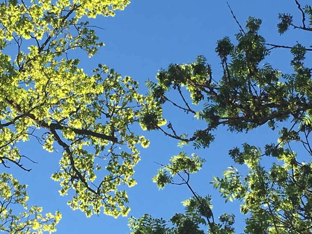 klarer Himmel
