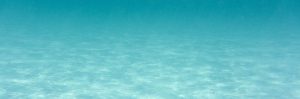 acqua